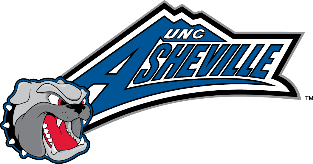 North Carolina Asheville Bulldogs 1998-2005 Primary Logo DIY iron on transfer (heat transfer)
